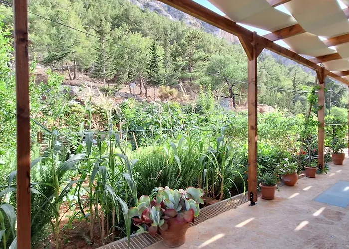 Apartman To Pefko - Mezzanines - Mejíszti