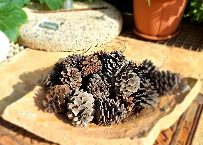 To Pefko - Mezzanines - * Mejíszti