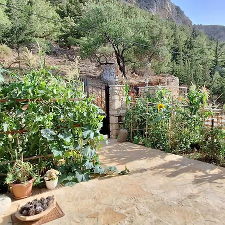 To Pefko - Mezzanines - Apartment Meyísti